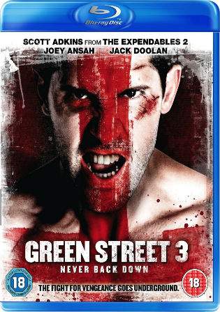 Green Street 3 Never Back Down 2013 BRRip 300MB Hindi Dual Audio 480p