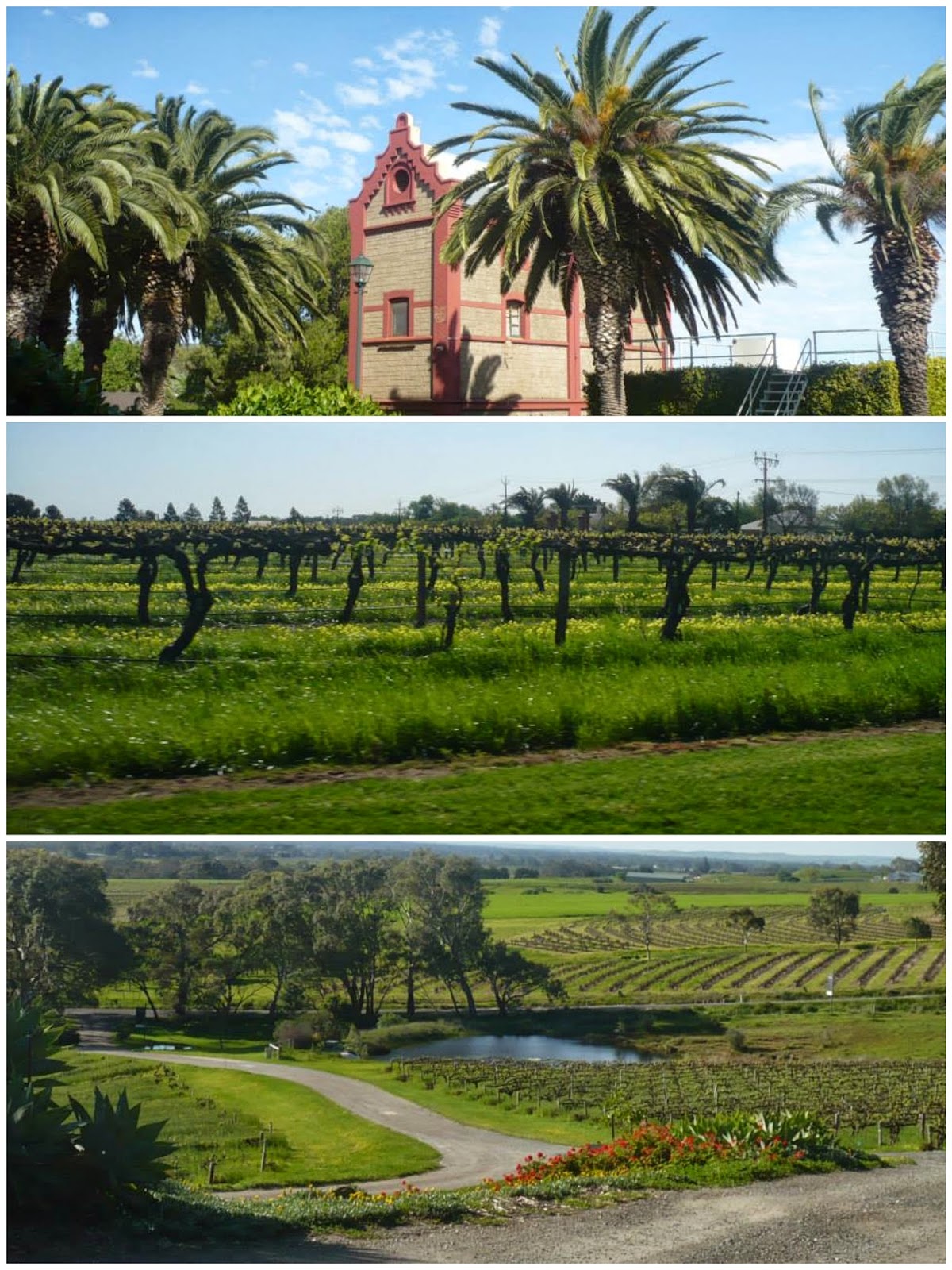 barossa south australia
