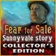 http://adnanboy.blogspot.com/2011/12/fear-for-sale-2-sunnyvale-story.html