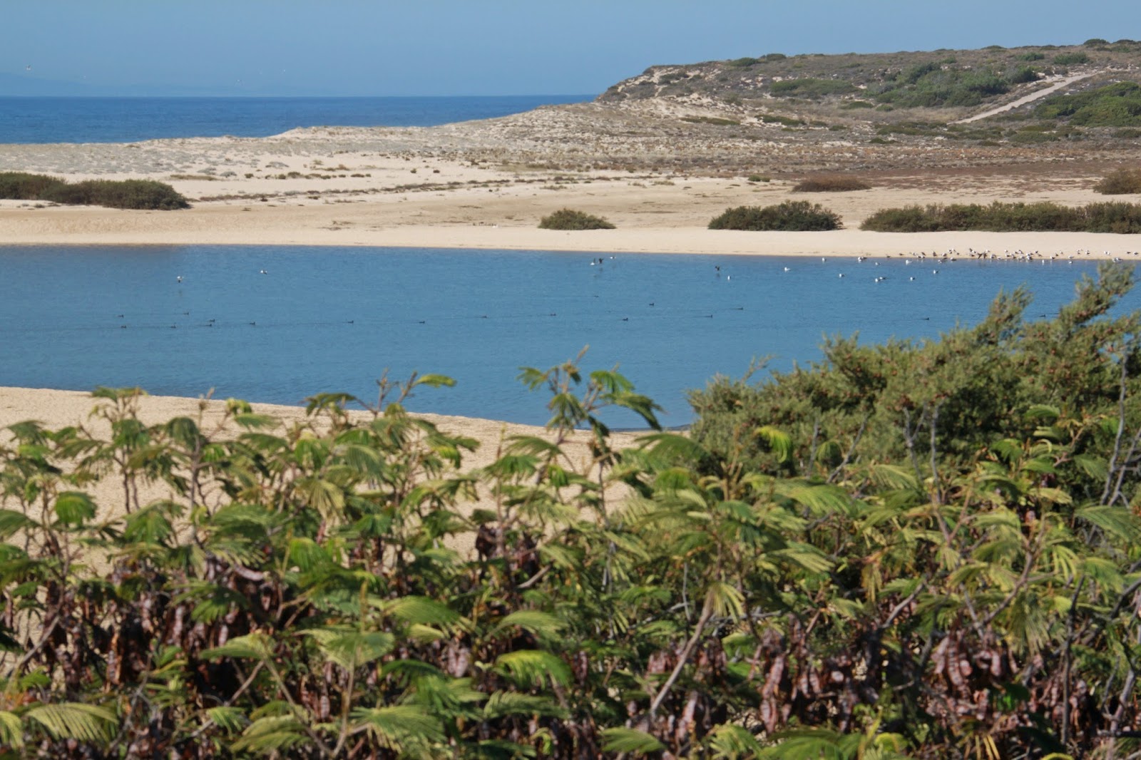 Sem Título (Temporariamente): Reserva Natural das Lagoas de Santo André ...