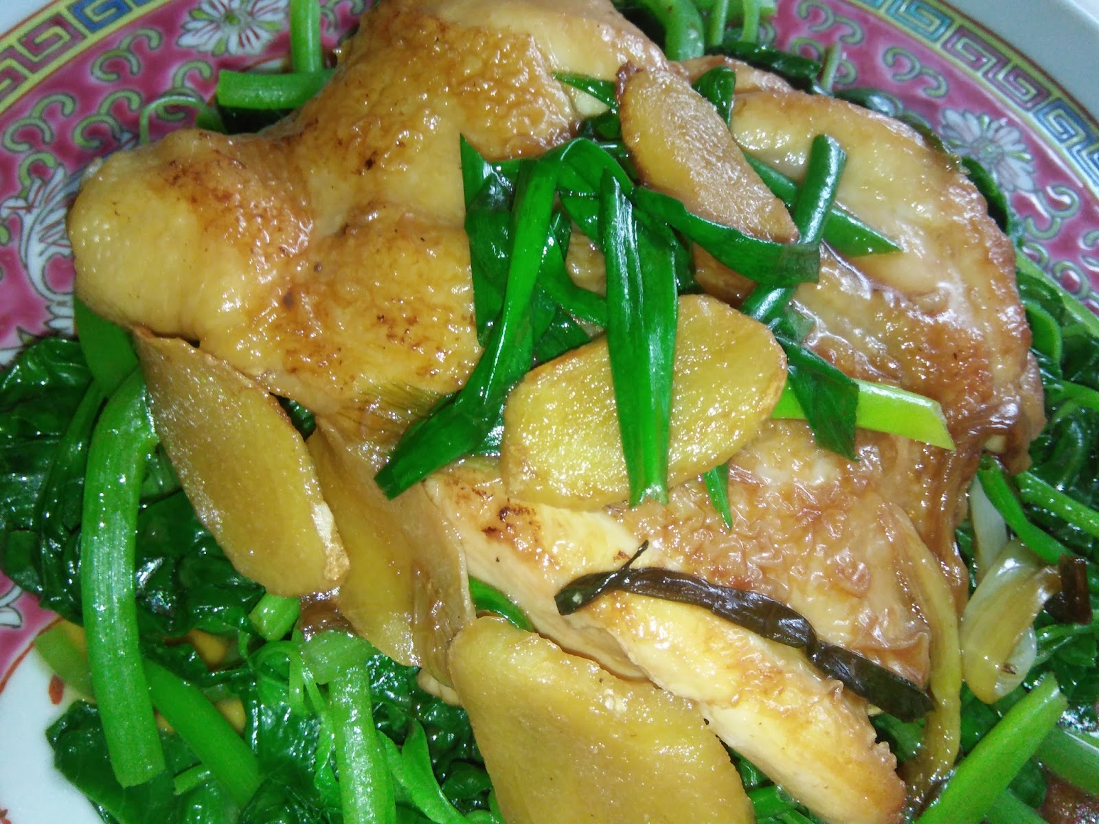 Cooking Pleasure EZCR116 SPRING ONIONS GINGER SOY CHICKEN
