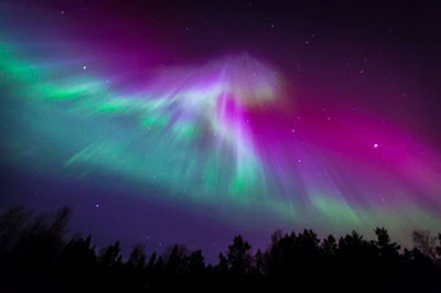 අවුරෝරා AURORA යනු කුමක්ද ?