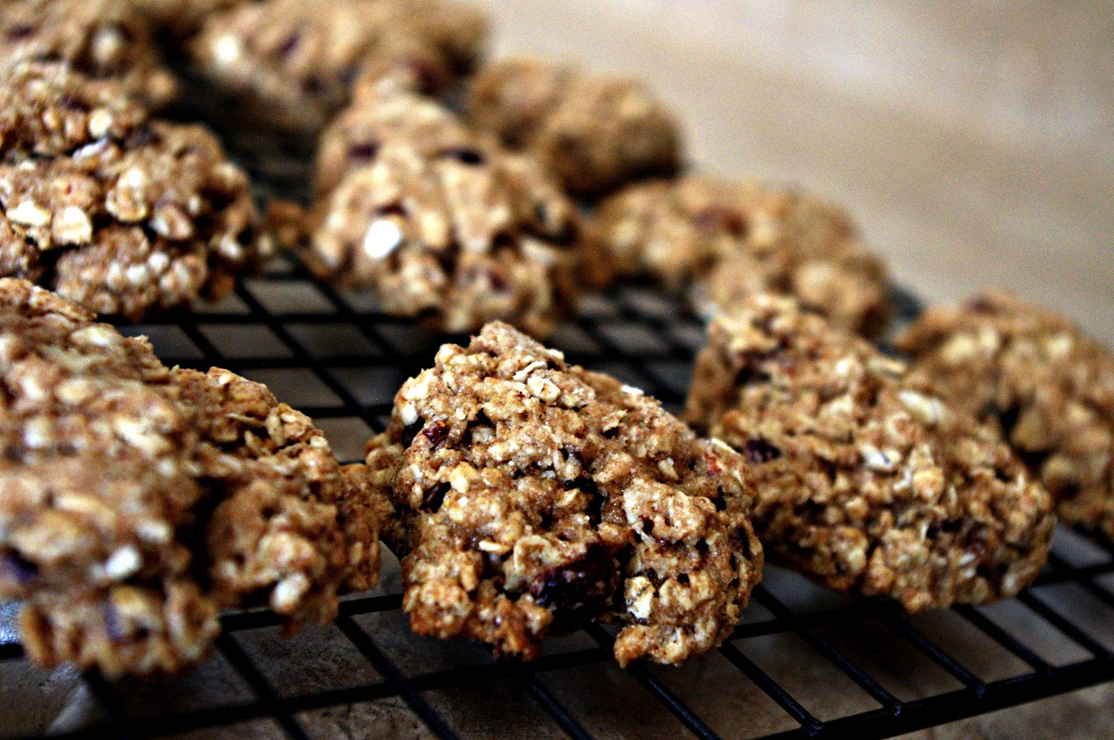 Dear Ella Oatmeal, Almond, Flax, Raisin Cookies (Vegan)
