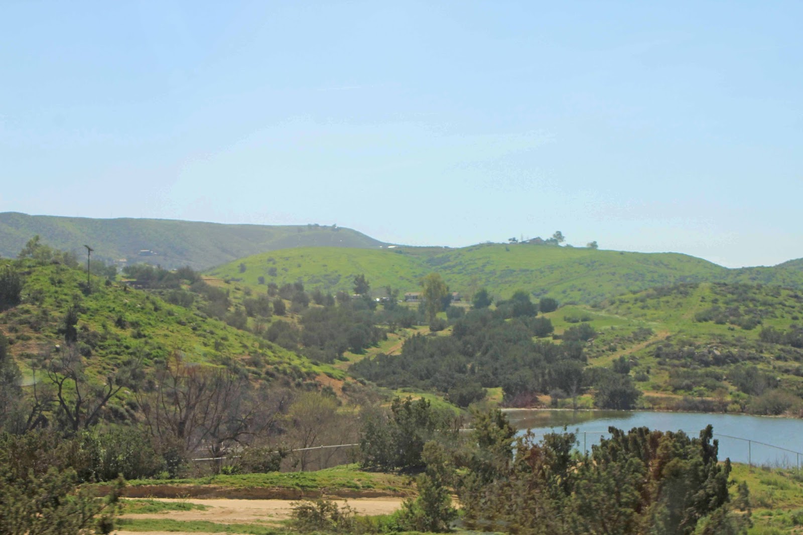 Western Sojourns Travels with Camissonia HARFORD SPRINGS RESERVE 3