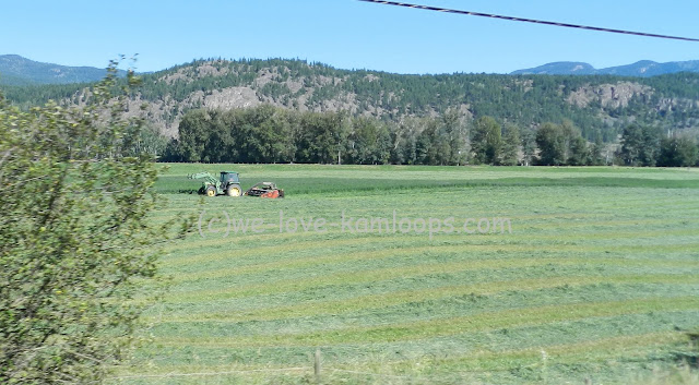The tractor and equipment are shown cutting the hay