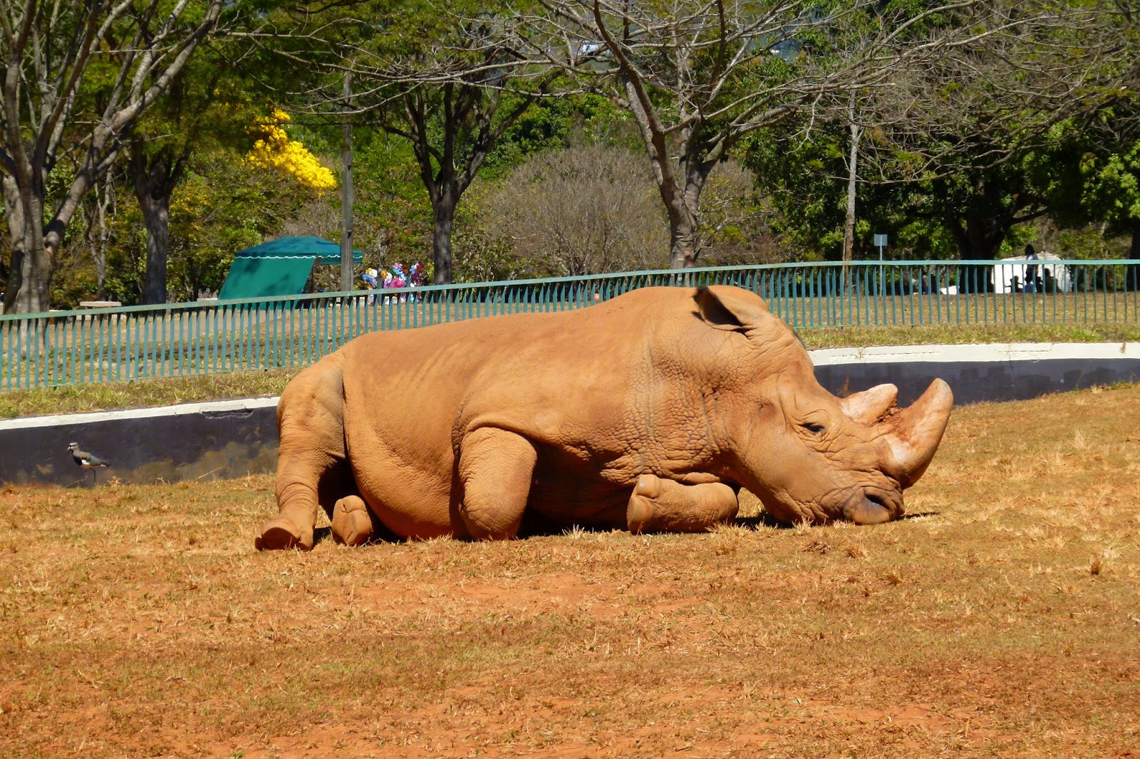 Mochileiros e Campistas Zoológico de Brasília/DF