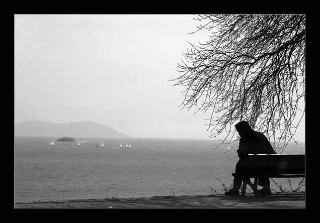 Reflections And Ruminations July 2012