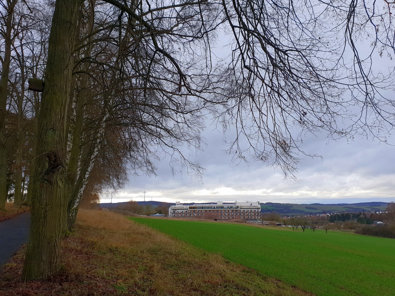 Neuerwerbungen 2007 Kirchliches Schulamt Mainz