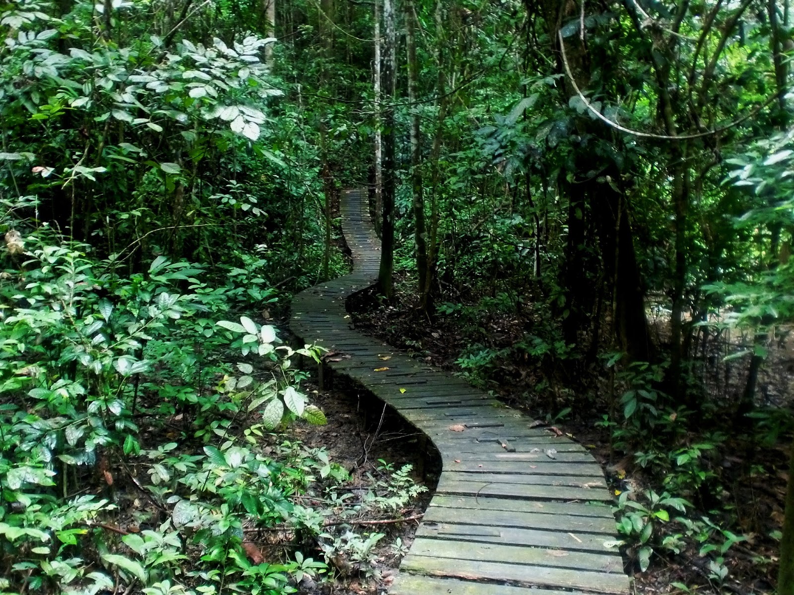 Dream and Inspiring: Bontang Kuala, Taman Nasional Kutai