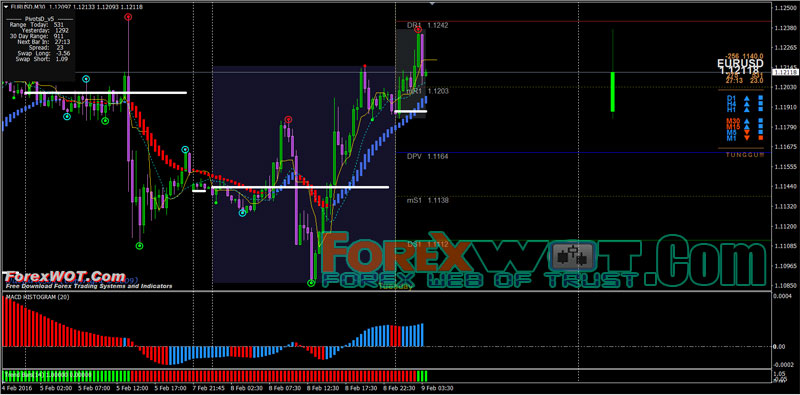 forex trading systems online india