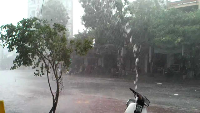 Trời mưa là lúc mọi người tìm nơi trú ẩn