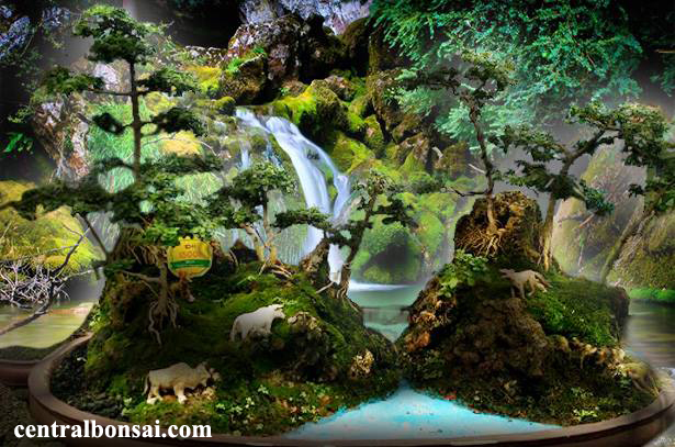 6 Jenis Tanaman Hias Bagus Untuk Bonsai