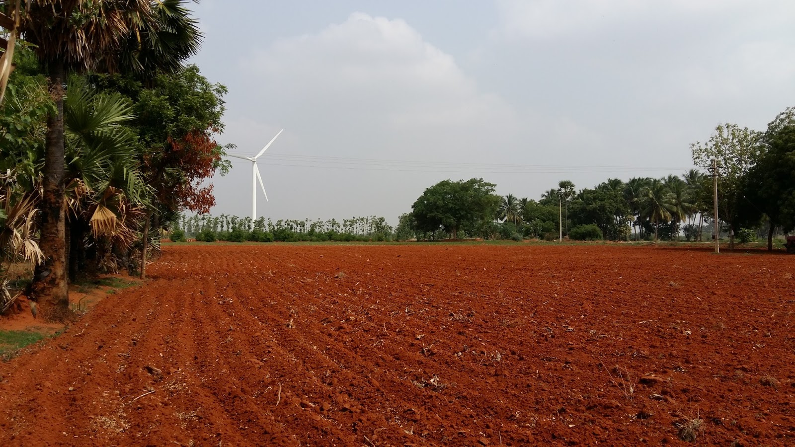 AGRI LANDS VERY CHEAP AGRI LAND FOR SALE NEAR NANGUNERI