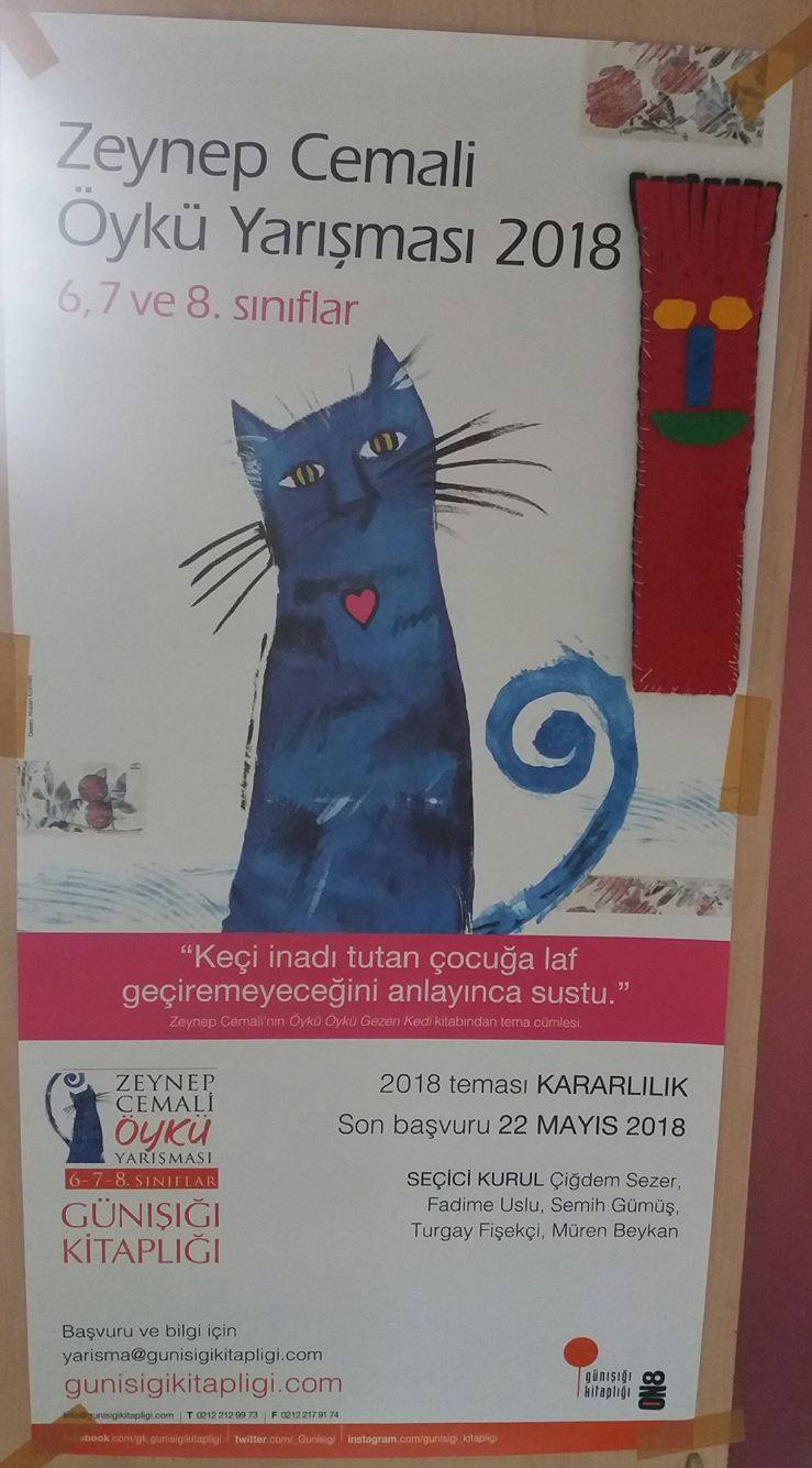 Öykü Öykü Gezen Kedi