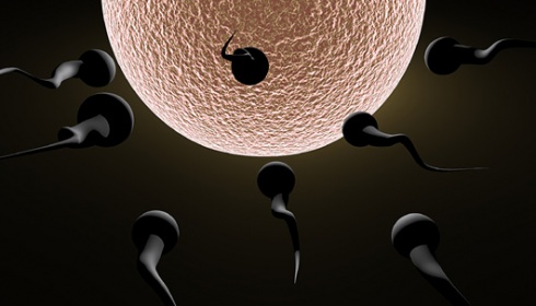 Apakah Bisa Hamil,Bila Cairan Sperma Keluar Lagi dari Kelamin Istri ?