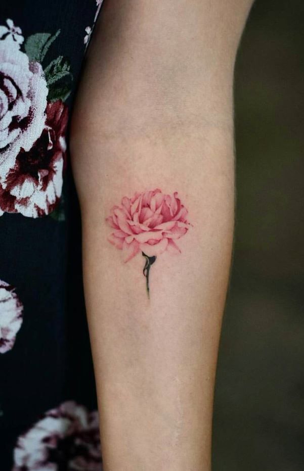 Tatuagens de flores para as mulheres Tatuagens de flores para as mulheres
