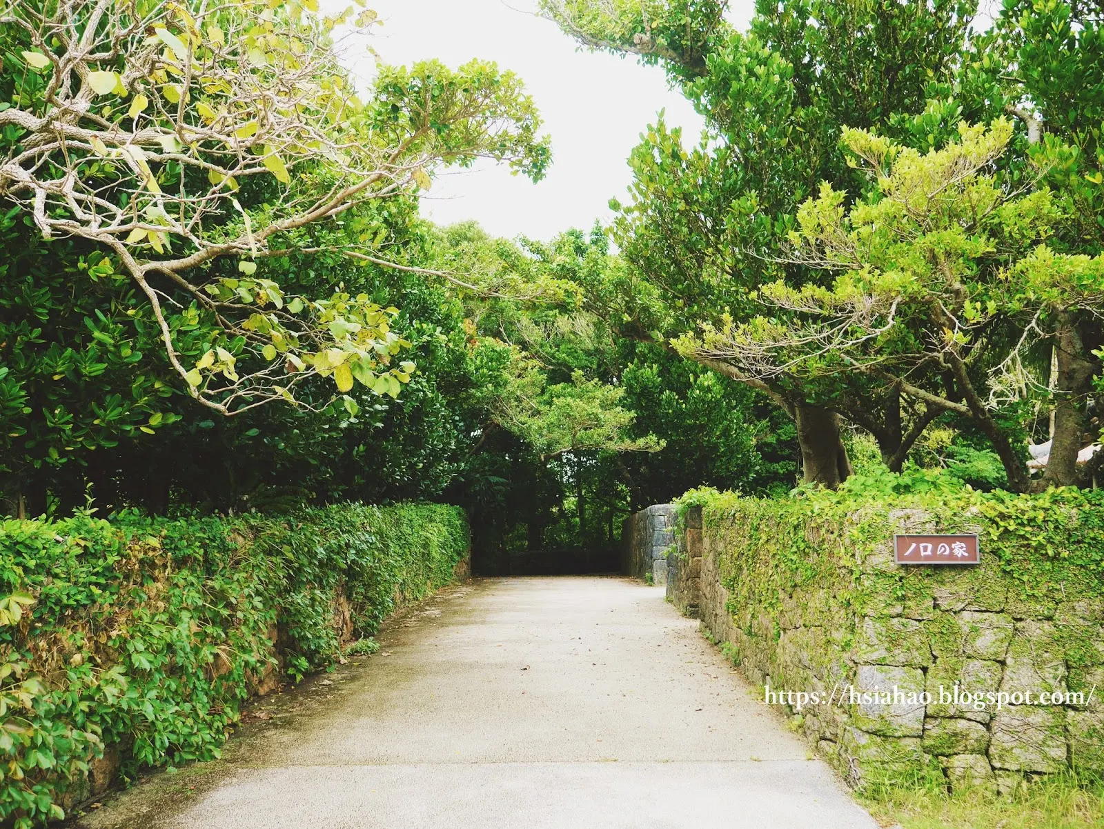 沖繩-海洋博公園-沖繩鄉土村-思絡植物園-おもろ植物園-海洋博公園景點-自由行-旅遊-旅行-okinawa-ocean-expo-park