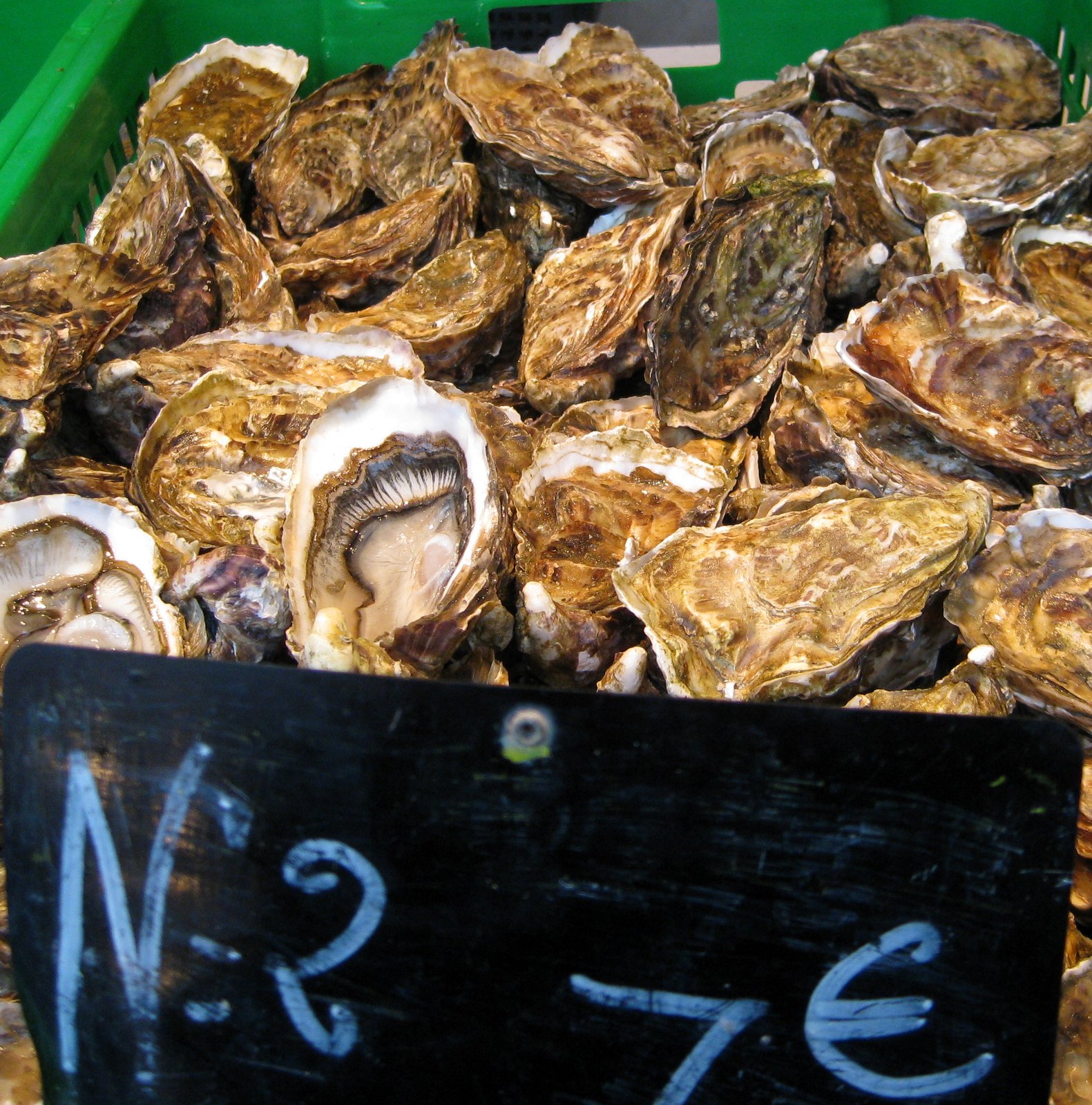 Travel Oyster Oysters in Paris