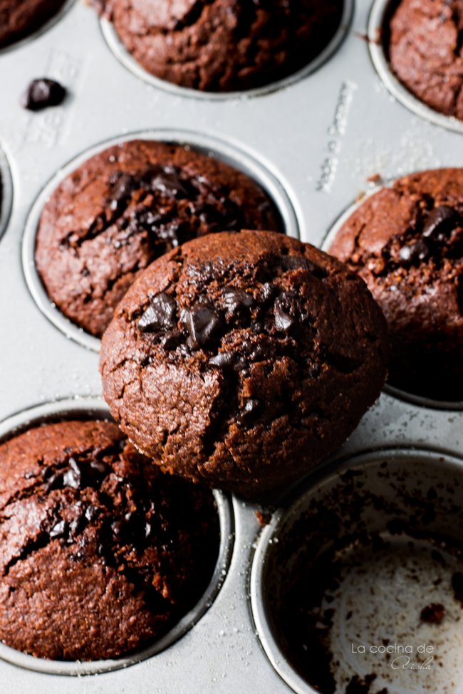 chocolate-rye-muffins