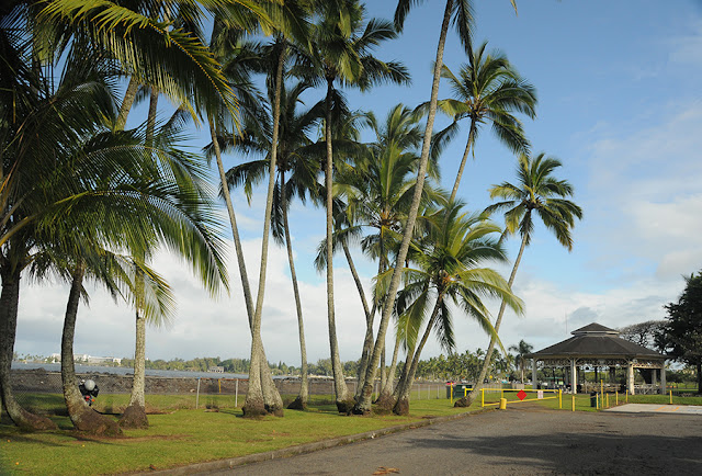 The Highs and Lows of Hilo Hawaii Big Island Trailblazer recommendation