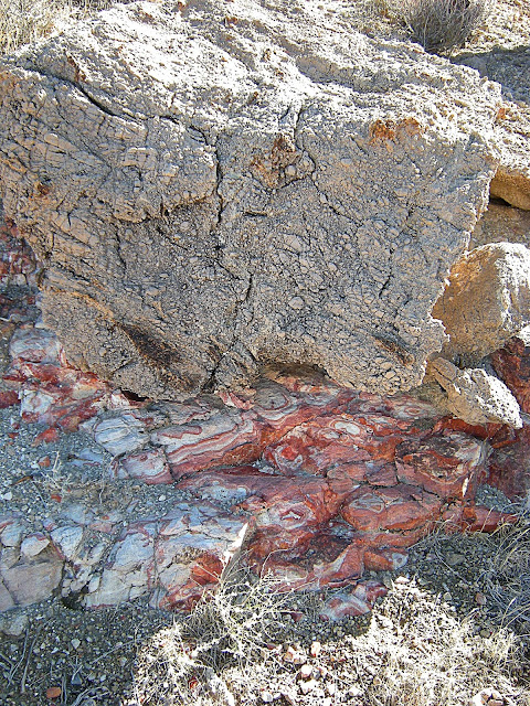 Buffington pocket Clark County Nevada Valley of Fire Muddy Mountains thrust belt Jurassic Cambrian geology travel field trip copyright rocdoctravel.com