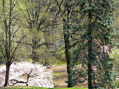 spring central park clip art