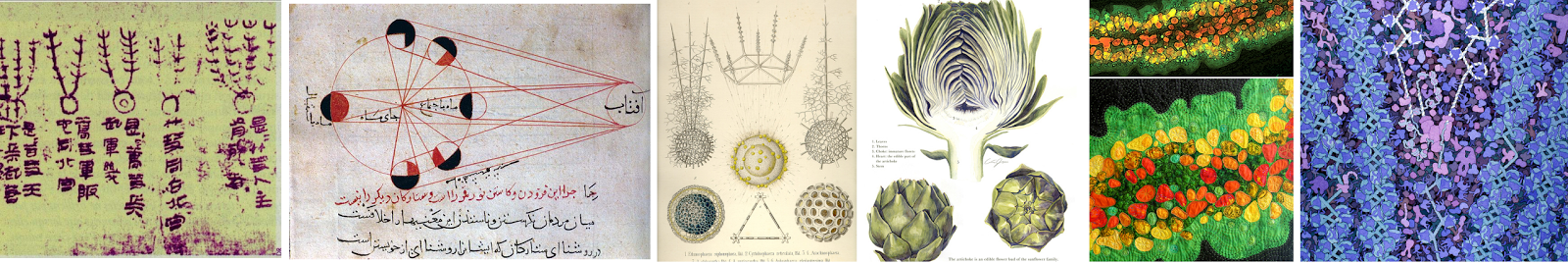 Random Science S 2014 ~ Sweet Random Science