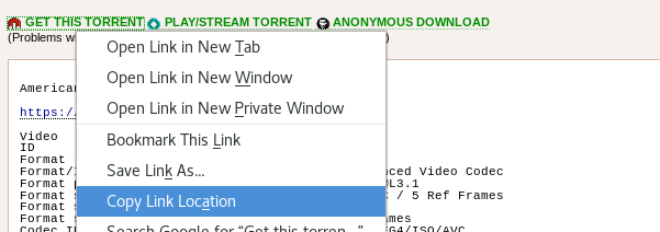 Chrome torrent magnet