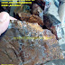 Batu jasper coklat jember bongkahan 01 by: IMDA Handicraft Kerajinan Khas Desa TUTUL Jember  