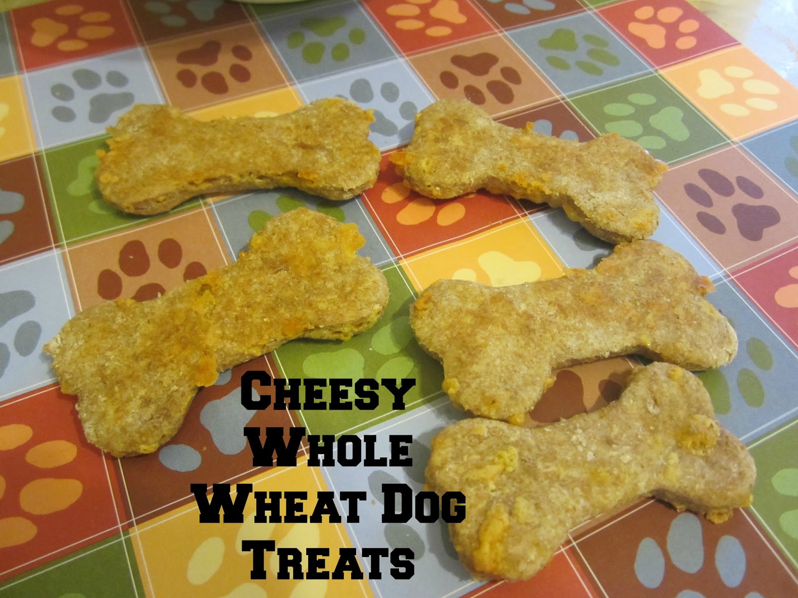 Cheesy Whole Wheat Dog Treats Frugal Family Tree