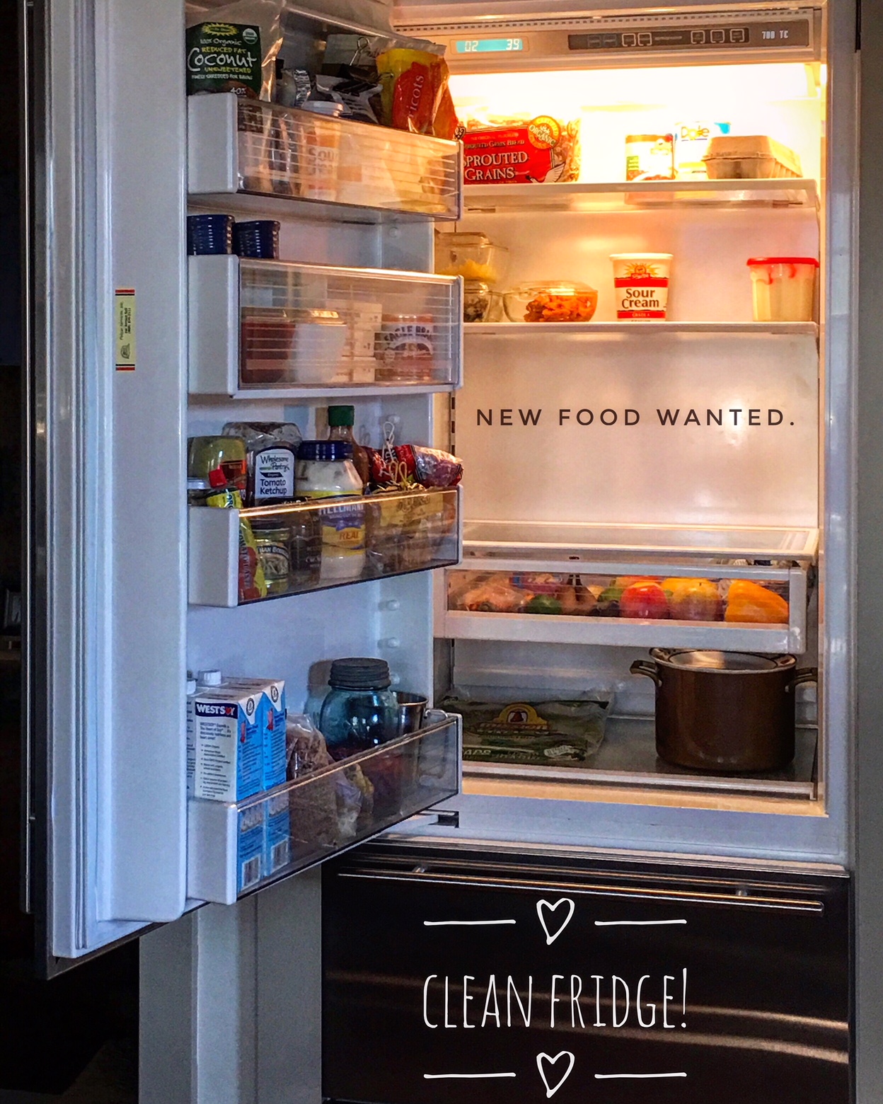 Cleaning My Refrigerator