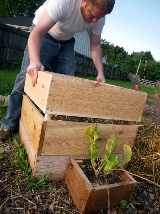 little country house Potato Box