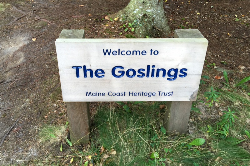 Life in the Slow Lane (The Pearl) Sept. 8 Lower Goose Island, ME