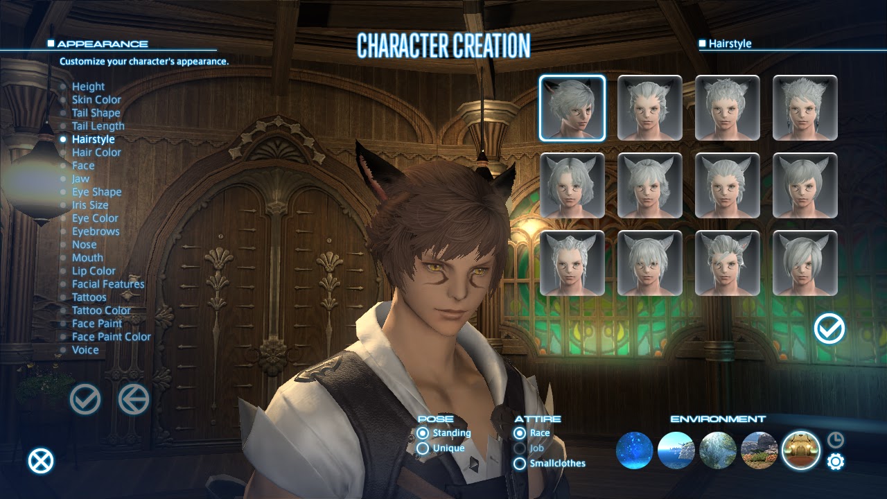 A Tank and a Healer.: FFXIV Character Creation Part 2