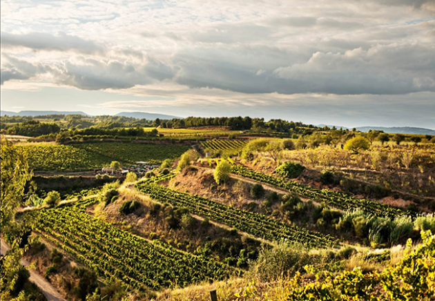 Cinco regiones de vinos espumosos a visitar