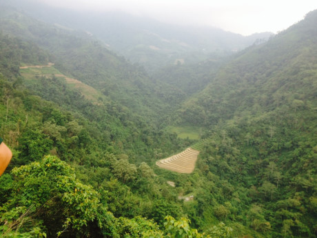 Ngoi nha chung am tinh dong doi cua nhung cuu binh Vi Xuyen - Anh 2