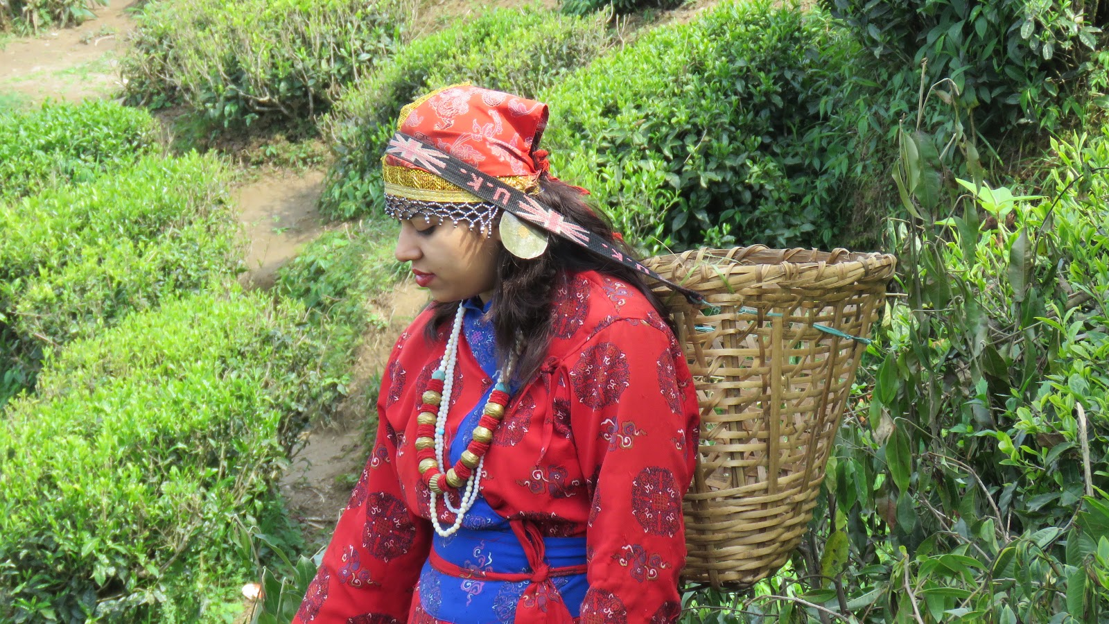 Nomadic Joe Darjeeling