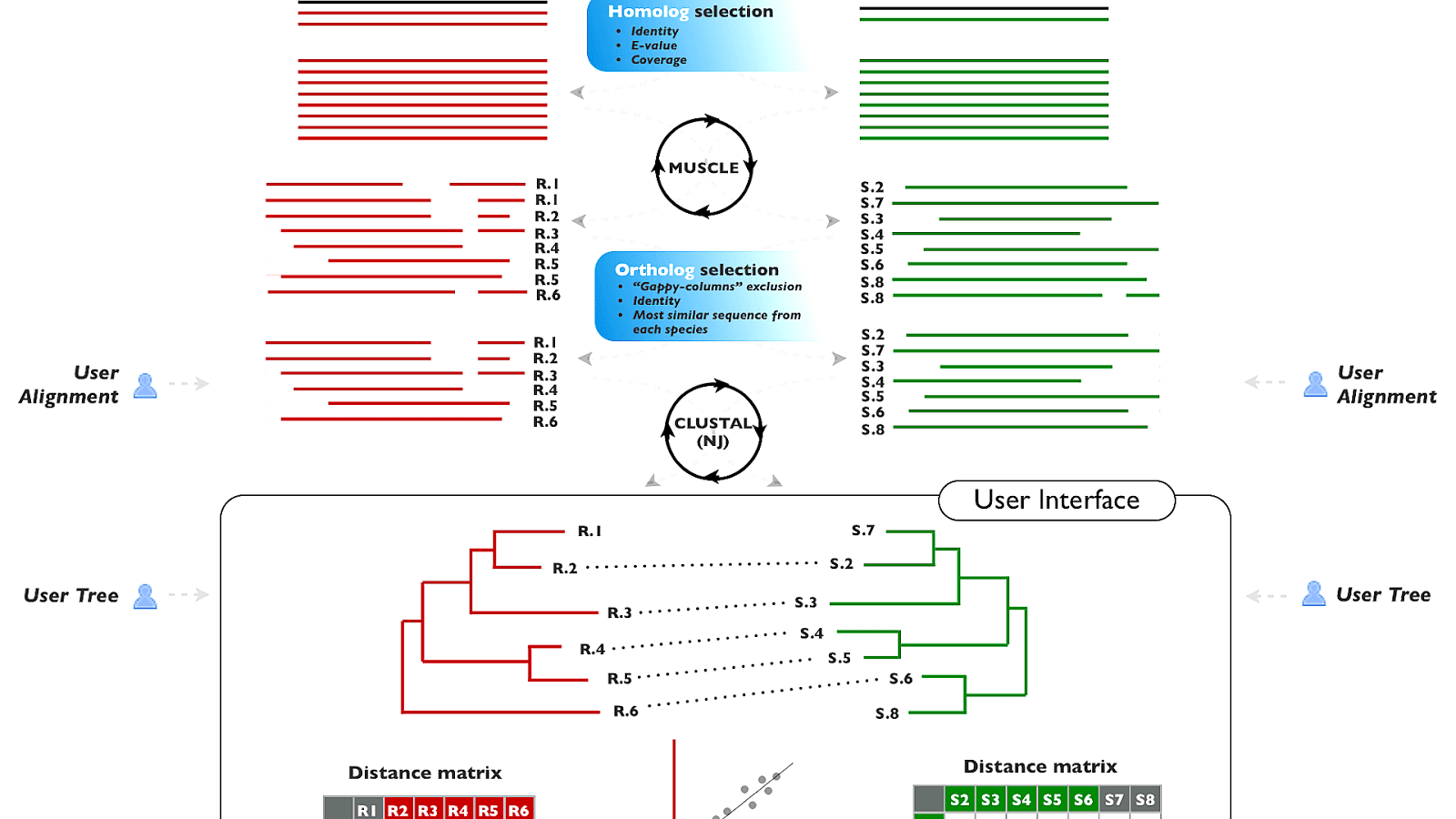 A Sequence Alignment Of The Protein Regions With Conserved