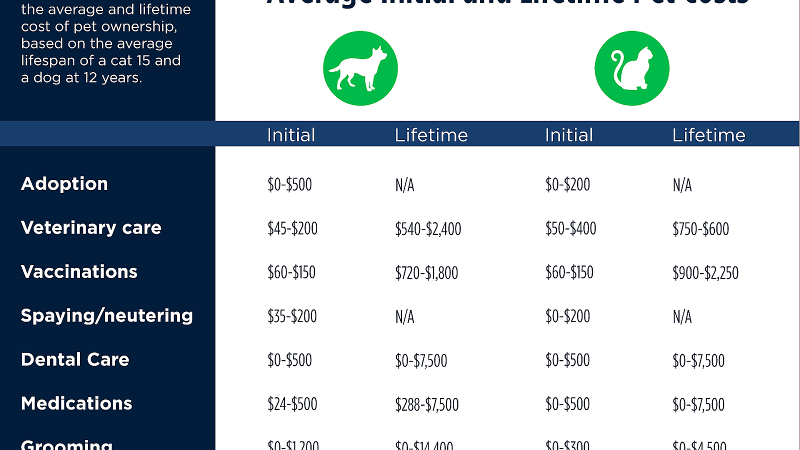 Veterinarian Costs For Cats Cat Choices