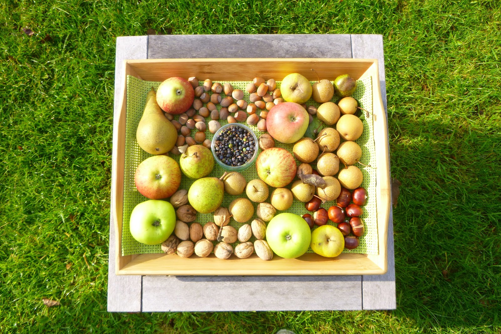 The Urbane Forager Walnuts & Wooden Rain