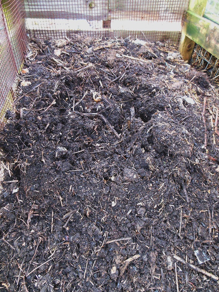 The Tenacious Gardener! DIY compost and Rose cuttingsDIY compost