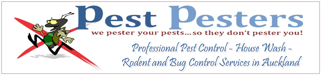 Pest Control - House Wash - Rodent & Bug Control Services in Auckland