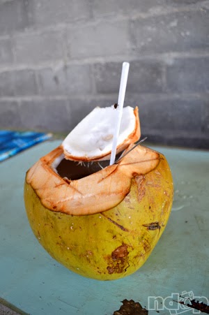 Kelapa Muda