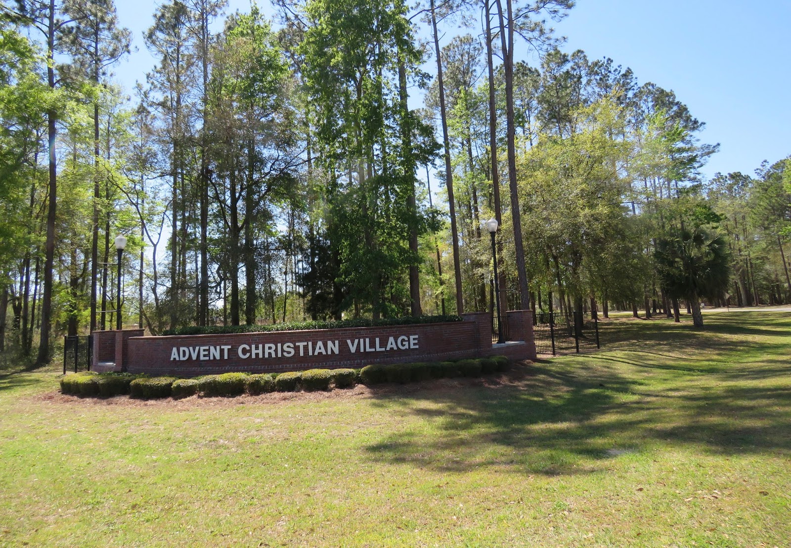 Where's Liz? 2017 Dowling Park, FL...where I'll retire after RVing