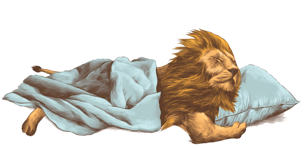 Спящие львы. Лев спящий. Фф sleeping lions автор litmasily