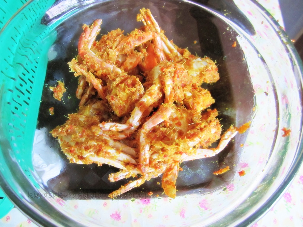 Resepi Udang Lipan Goreng Kunyit  Zannpxy Blehs