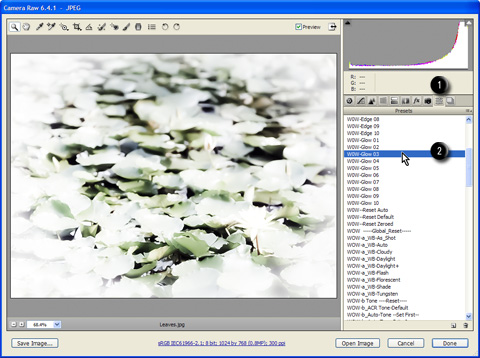Apply preset to the image in Camera Raw Apply preset to the image in Camera Raw