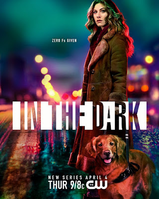 In The Dark 2019 Series Poster
