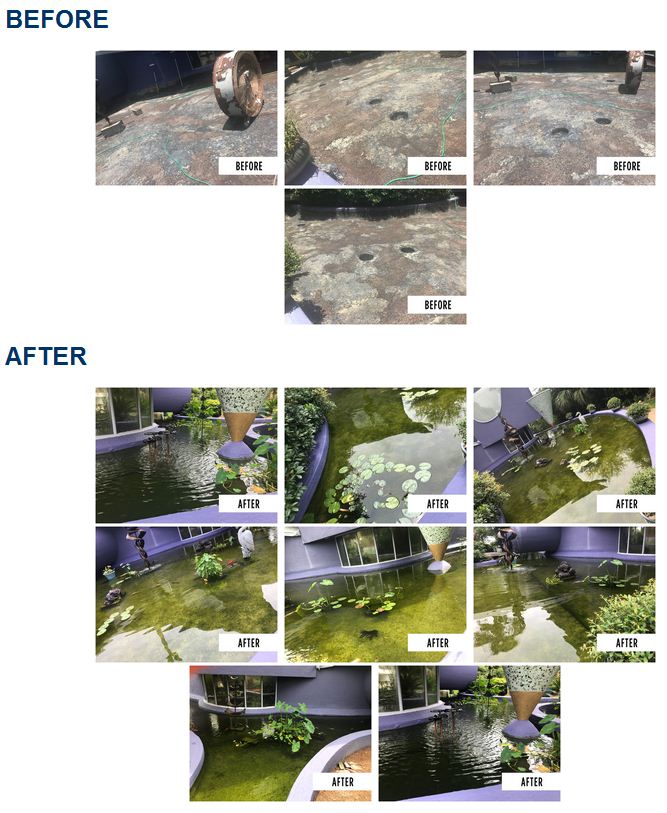 Pond Repair Cracked concrete pond repair superb results with warranty