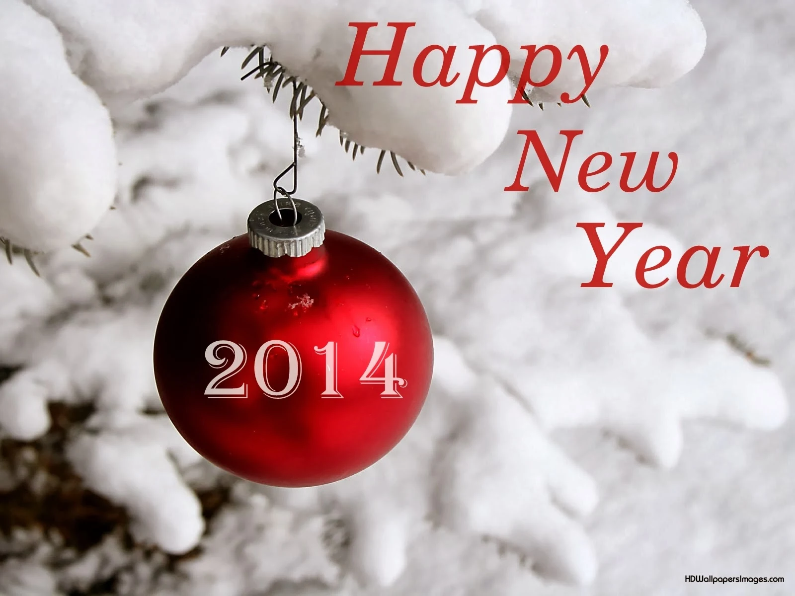صور رأس السنة الميلادية 2014